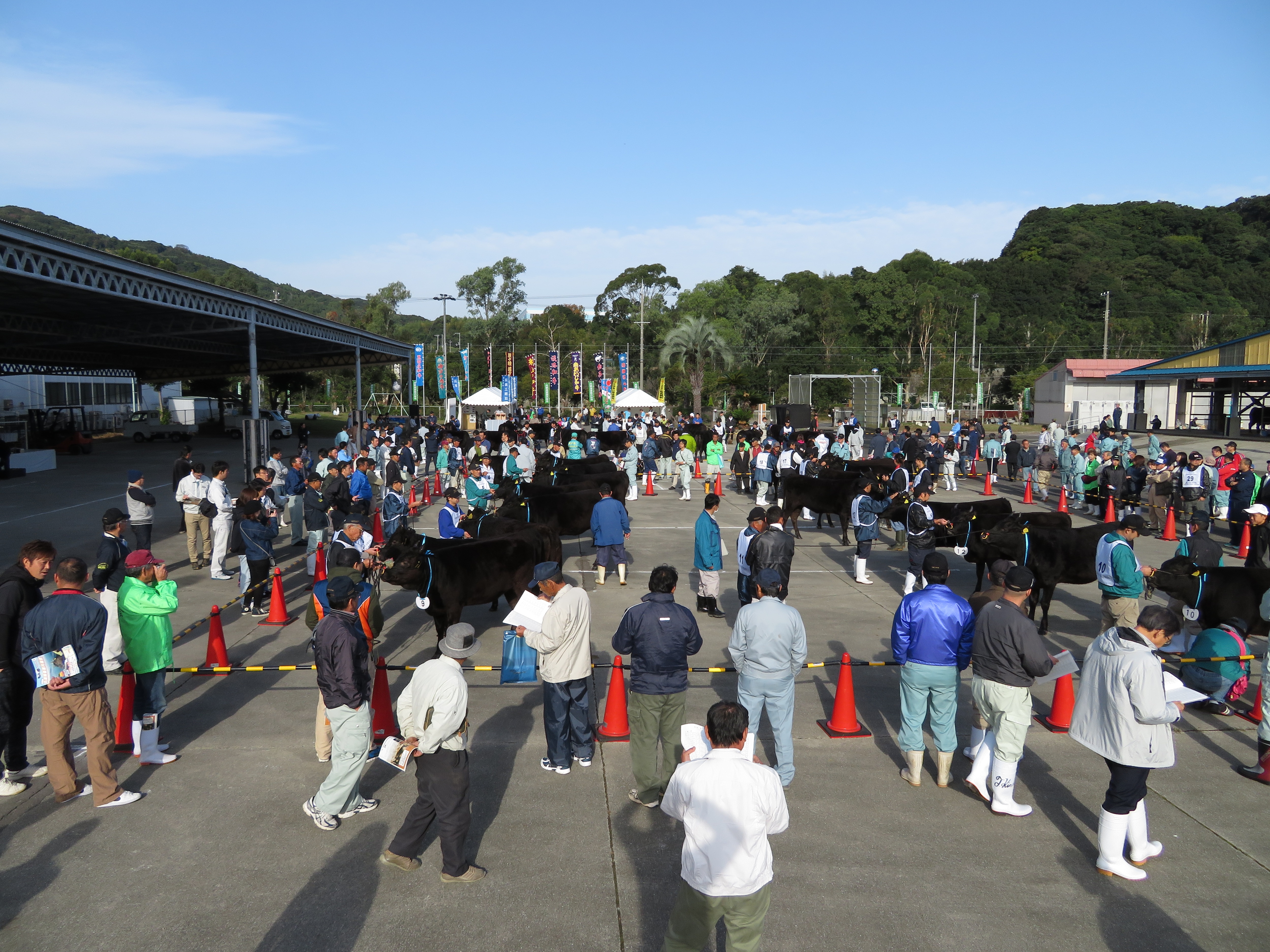平成28年度兵庫県畜産共進会風景02
