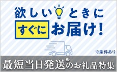 最短当日発送のお礼品特集