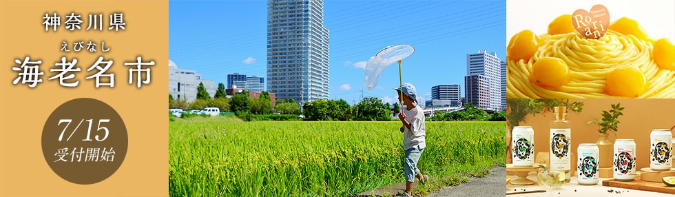 神奈川県海老名市
