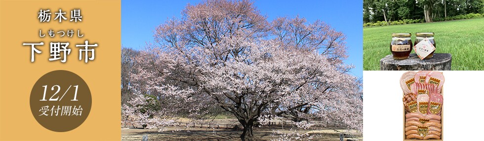 栃木県下野市
