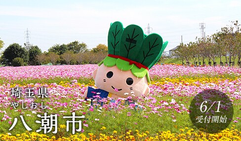 埼玉県八潮市