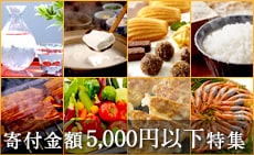 寄付金額5,000円以下 ふるさと納税特集