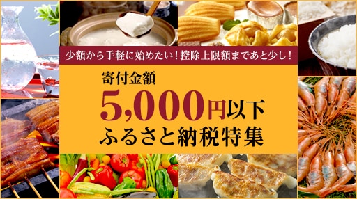 寄付金額5,000円以下 ふるさと納税特集
