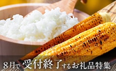 3月で受付終了するお礼品特集