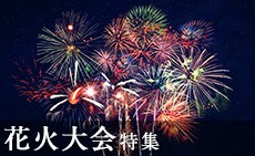 ふるさと納税で盛り上げよう！花火大会特集2025