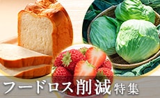 フードロス削減お礼品特集