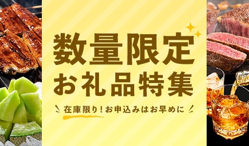 在庫限り！数量限定お礼品特集