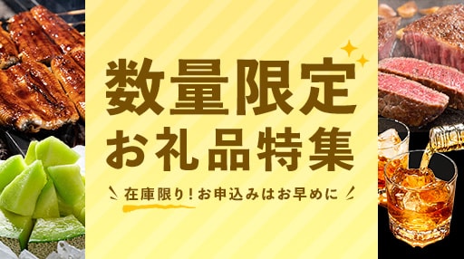 在庫限り！数量限定お礼品特集