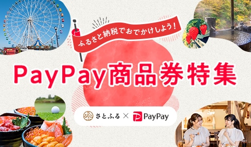 ふるさと納税でおでかけしよう！PayPay商品券特集