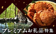 ふるさと納税 プレミアムお礼品特集