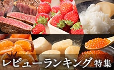 レビューランキング特集