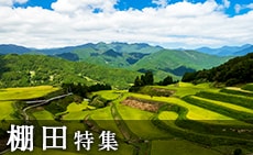 ふるさと納税で応援！棚田特集
