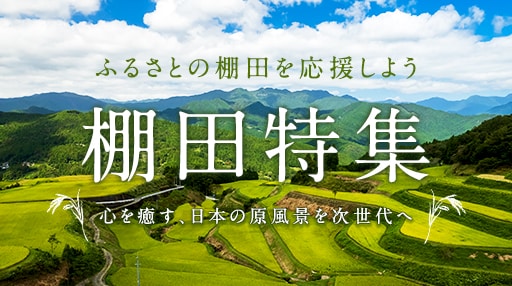 ふるさと納税で応援!棚田特集