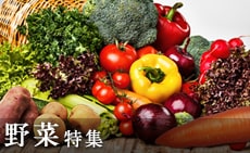 野菜特集