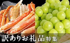 訳ありお礼品特集