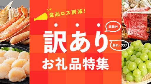 訳ありお礼品特集
