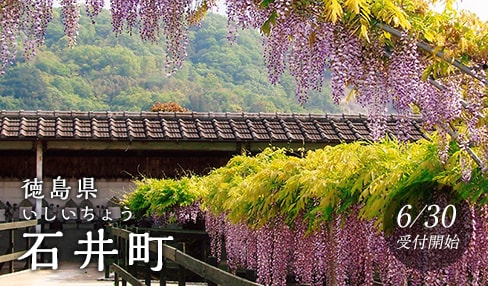 徳島県石井町