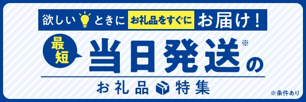 最短当日発送のお礼品特集