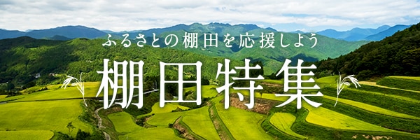 ふるさとの棚田を次世代へ