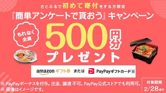 21年2月度 さとふるで初めて寄付をする方限定 簡単アンケートで貰おう キャンペーン