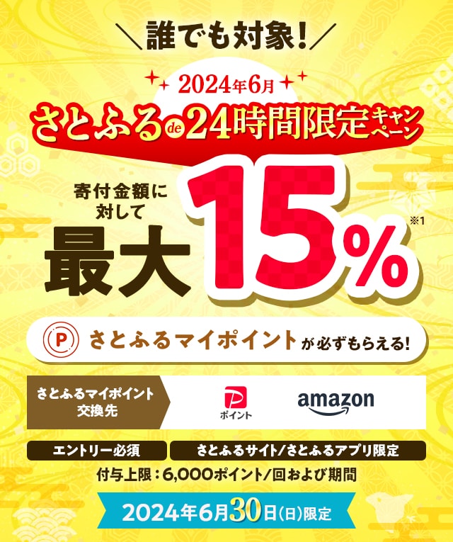2024年6月 さとふるde24時間限定キャンペーン | ふるさと納税サイト