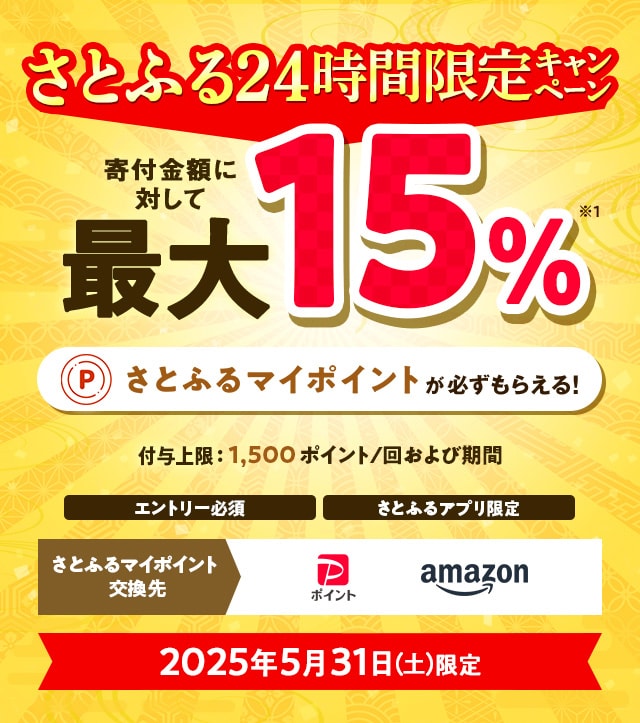 さとふるアプリ限定】2025年5月 さとふる24時間限定キャンペーン