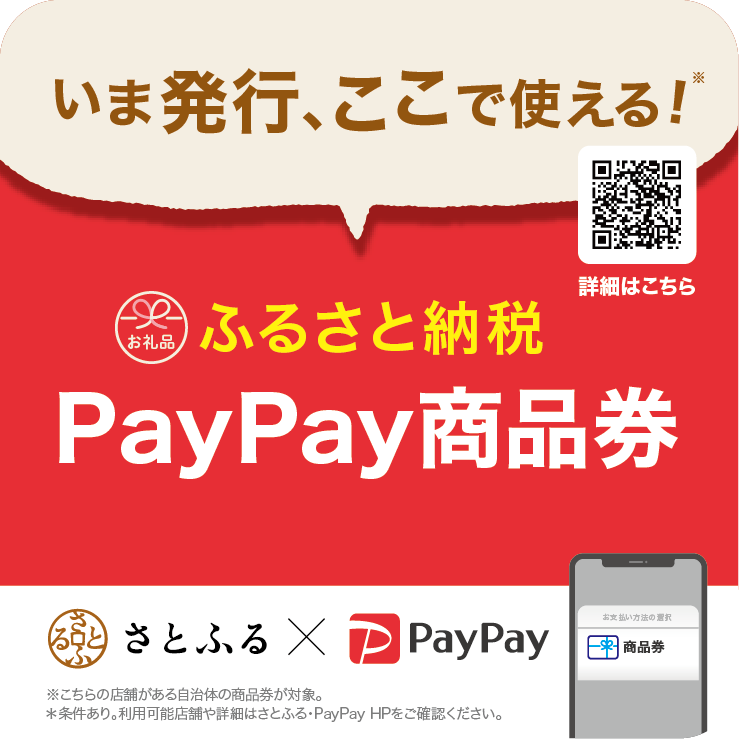 ふるさと納税 松原市 大阪府松原市 PayPay商品券(4,500円分)※地域
