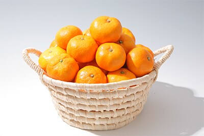 有田みかん