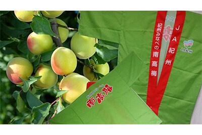紀州みなべの南高梅