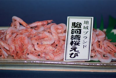 駿河湾桜えび