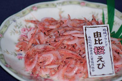 由比桜えび