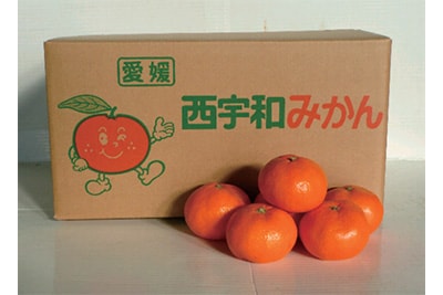 西宇和みかん