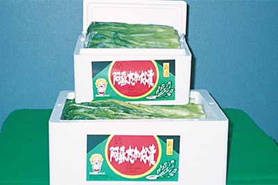 阿蘇たかな漬