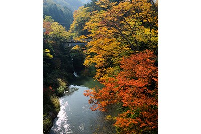 山中温泉