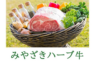 宮崎ハーブ牛