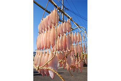 若狭かれい