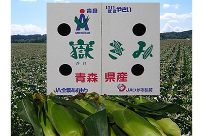 嶽きみ
