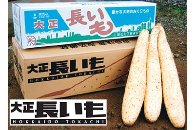 大正長いも