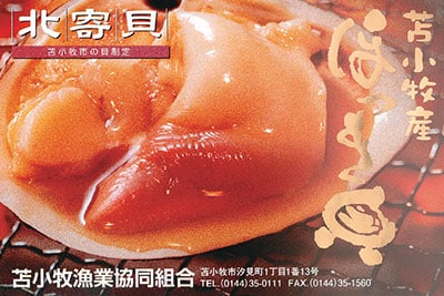 苫小牧産ほっき貝