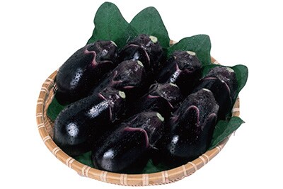 泉州水なす