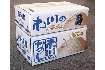 市川のなし／市川の梨