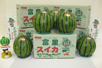 富里スイカ