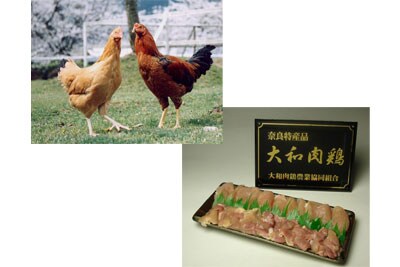大和肉鶏