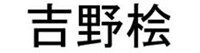 吉野桧
