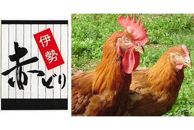 伊勢赤どり