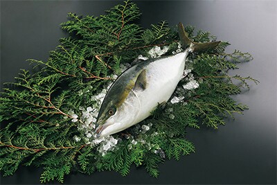 戸島ぶり