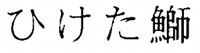 ひけた鰤