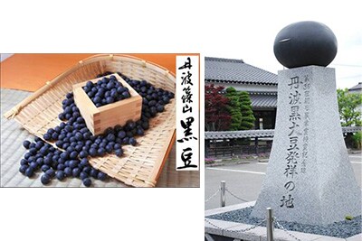 丹波篠山黒豆