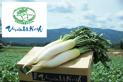 ひるがの高原だいこん