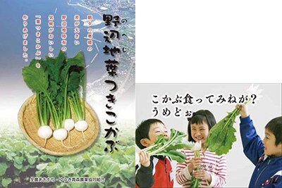 野辺地葉つきこかぶ
